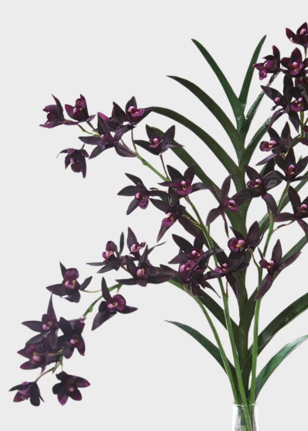Artificial Cymbidium Orchid in Plum - 38"