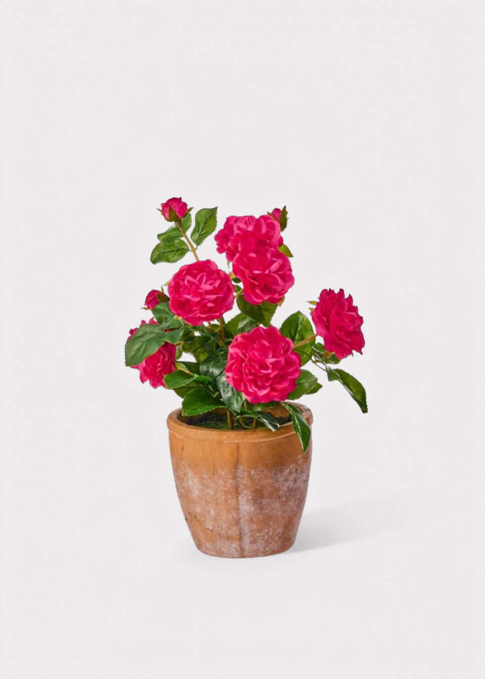 UV Treated Outdoor Potted Plant of Hot Pink Real Touch Roses - 13"