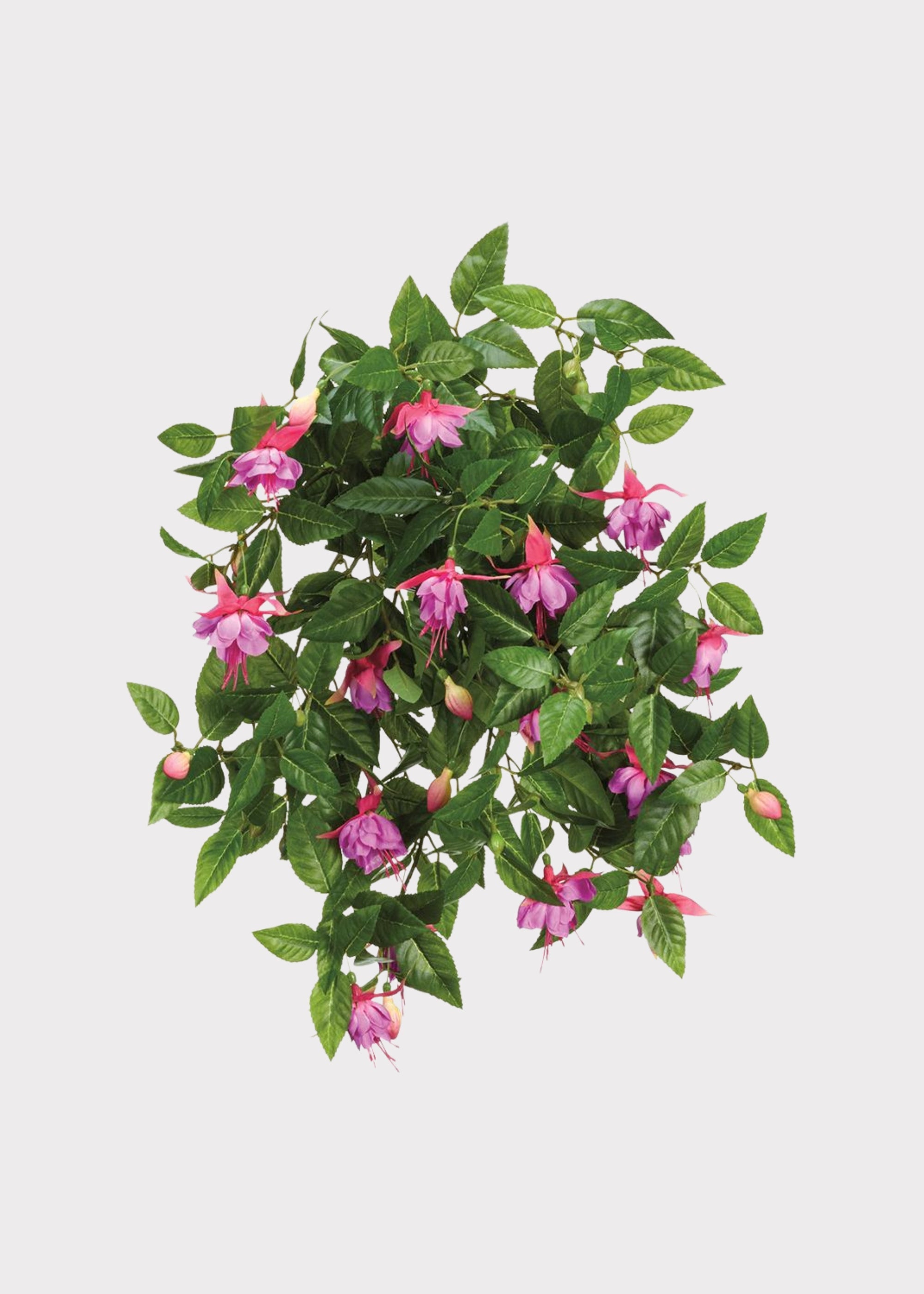 Artificial Fuchsia Flower Hanging Bush in Purple Hue - 20.5"