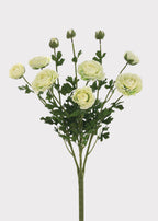 Artificial Ranunculus Flower Bush in Cream - 19"