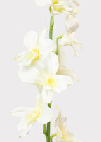 Cream Artificial Dendrobium Orchid Flower Branch - 35.5"