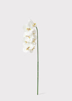 Faux White Blooming Phalaenopsis Orchids - 40"