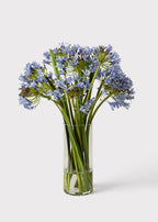 SALE - Blue Faux Agapanthus Flower Arrangement in Glass Vase - 31"
